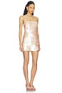 view 2 of 4 Elise Mini Dress in Champagne