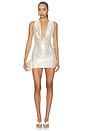 view 1 of 4 VESTIDO ROWAN in Champagne