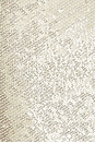 view 4 of 4 VESTIDO ROWAN in Champagne