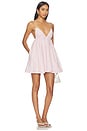 view 1 of 4 Peyton Mini Dress in Pink Stripe