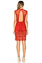 view 4 of 5 Blush Dress in Red