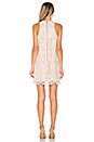 view 3 of 4 Caspian Shift Dress in Ivory