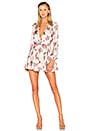 view 1 of 3 Ivy Dress in Garden Floral