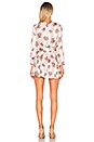 view 3 of 3 Ivy Dress in Garden Floral