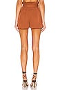 view 3 of 4 Tati Short in Rust
