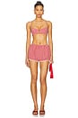 view 5 of 6 Ruby Short in Red Gingham