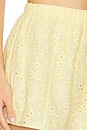 view 6 of 6 Josie Short in Baby Yellow