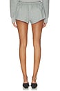 view 5 of 6 Roby Short in Gray