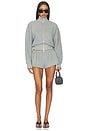 view 6 of 6 Roby Short in Gray