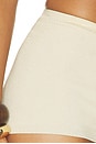 view 6 of 6 Rosanna Metallic Short in Champagne