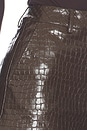 view 7 of 6 SHORT ARDEN  in Dark Brown
