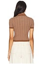 view 3 of 5 Camelia Stripe Short Sleeve Polo in Brown & Ivory