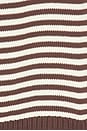 view 6 of 5 SWEAT À CAPUCHE PAULEY in Brown & Ivory Stripe