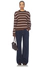 view 5 of 4 Kristin Stripe Pullover in Brown Multi