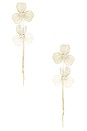 view 1 of 2 Daisy Earrings in Gold