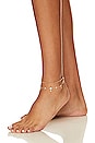view 1 of 3 Cecelia Anklet in Gold
