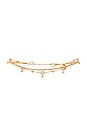 view 3 of 3 Cecelia Anklet in Gold