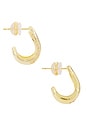 view 2 of 3 BOUCLES D'OREILLES FERNANDA in Gold
