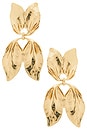 view 1 of 2 Aya Earrings in Gold
