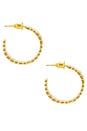 view 2 of 3 Calandra Earrings in Gold