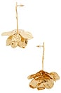 view 2 of 2 BOUCLES D'OREILLES HOLLAND in Gold