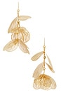 view 1 of 2 BOUCLES D'OREILLES JESSAMINE in Gold