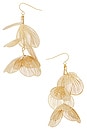 view 2 of 2 BOUCLES D'OREILLES JESSAMINE in Gold