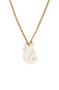 view 2 of 2 Drew Shell Necklace in Gold Multi