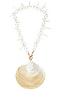 view 1 of 2 Casey Shell Necklace in Pearl Multi