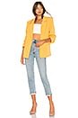 view 5 of 5 Noemi Blazer in Honey