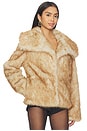 view 2 of 4 Elsa Faux Fur Jacket in Soft Brown