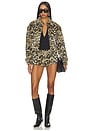 view 7 of 6 Bambie Jacket in Leopard