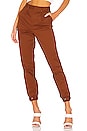 view 1 of 4 PANTALON JAMESON in Rust