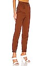 view 2 of 4 PANTALON JAMESON in Rust