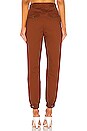 view 3 of 4 PANTALON JAMESON in Rust