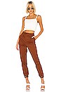 view 4 of 4 PANTALON JAMESON in Rust