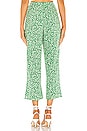view 3 of 5 Tess Pant in Lucky Floral