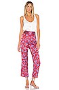 view 4 of 4 Selma Pant in Red & Purple Floral
