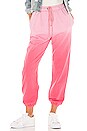 view 1 of 4 Sammy Jogger Pant in Pink Ombre