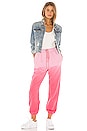 view 4 of 4 Sammy Jogger Pant in Pink Ombre