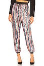 view 1 of 5 Cambridge Jogger Pant in Multi