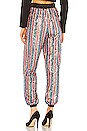 view 3 of 5 Cambridge Jogger Pant in Multi
