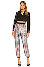 view 4 of 5 Cambridge Jogger Pant in Multi
