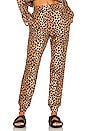 view 1 of 4 Cropped Jogger in Chocolate Leopard