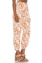 view 2 of 4 Kacey Pant in Caramel Brown Floral