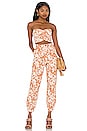 view 4 of 4 Kacey Pant in Caramel Brown Floral