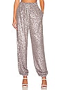 view 1 of 5 Cairo Pant in Pewter