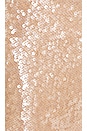 view 5 of 5 Stevie Sequin Pant in Nude Neutral