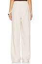 view 4 of 6 Johnny Pant in Tan Multi