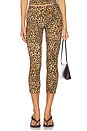 view 1 of 6 Carmen Capri Pant in Leopard